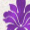 Interference Violet